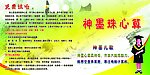 神墨教育