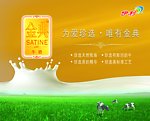 伊利金典