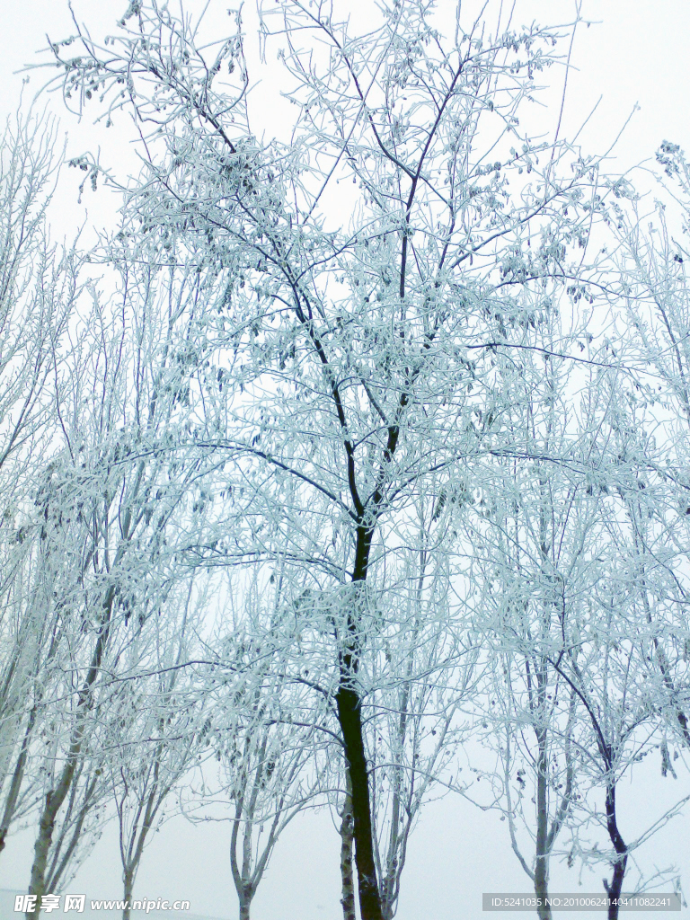 雪景