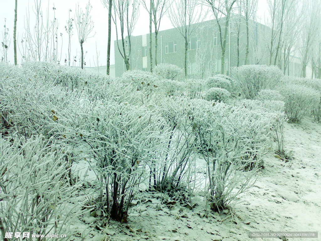 雪景