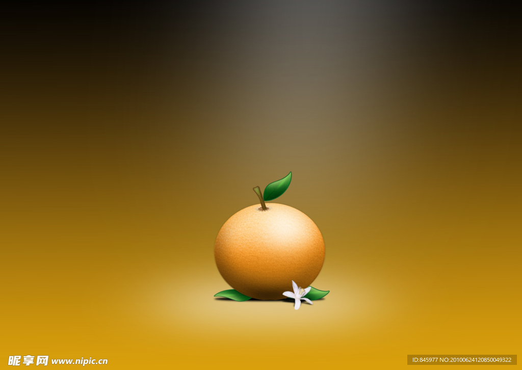 水彩画风格的橘子