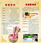 美容养生展板