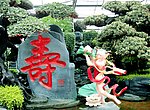 福禄寿 寿