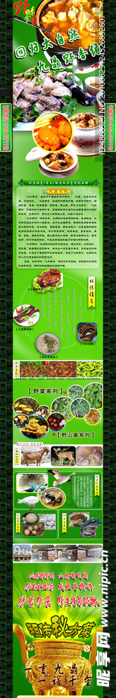野味 山鸡
