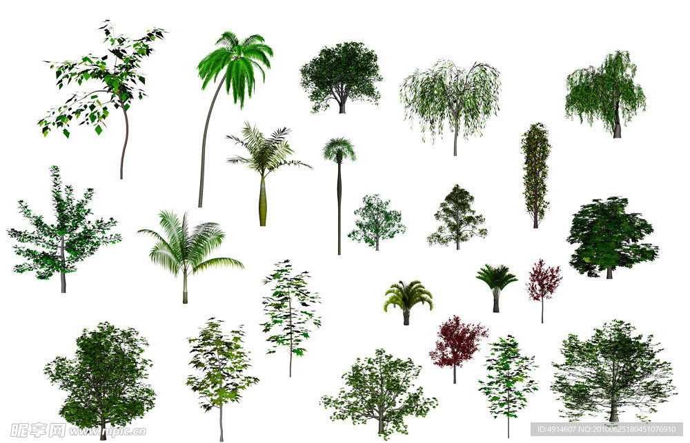 植物素材
