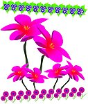 花边