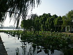 大明湖