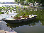 大明湖