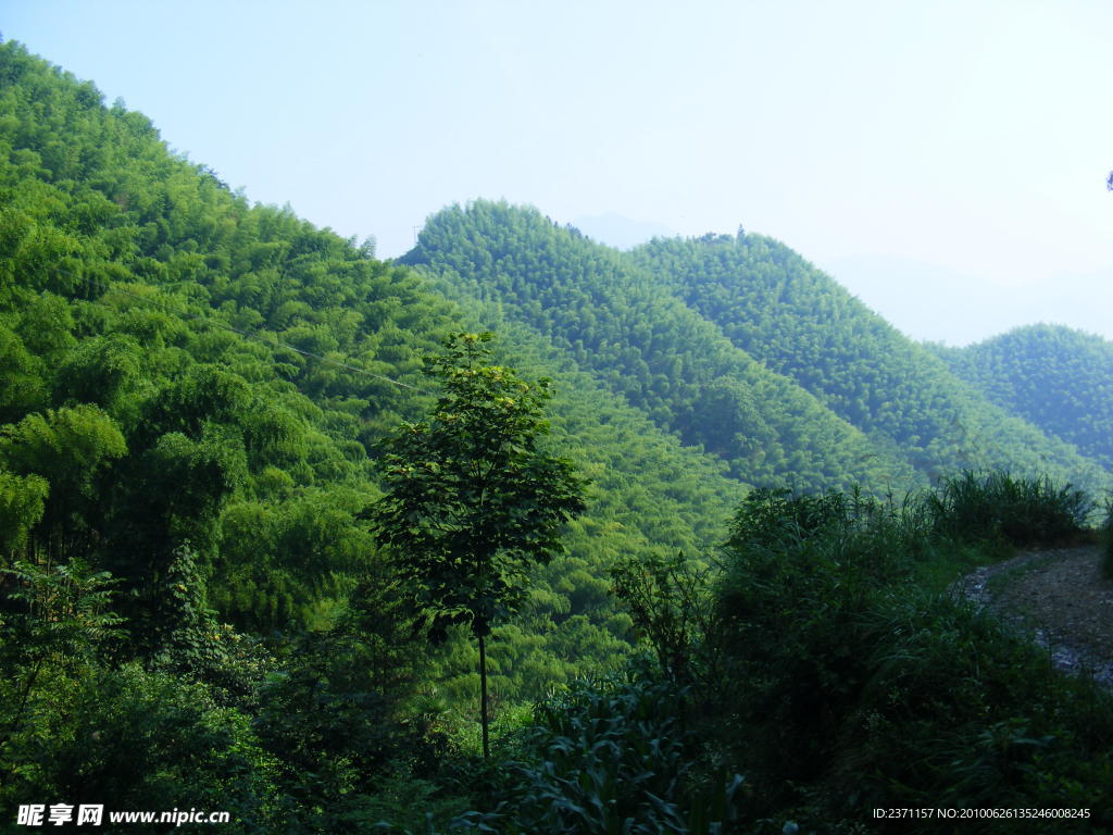 大山 青山