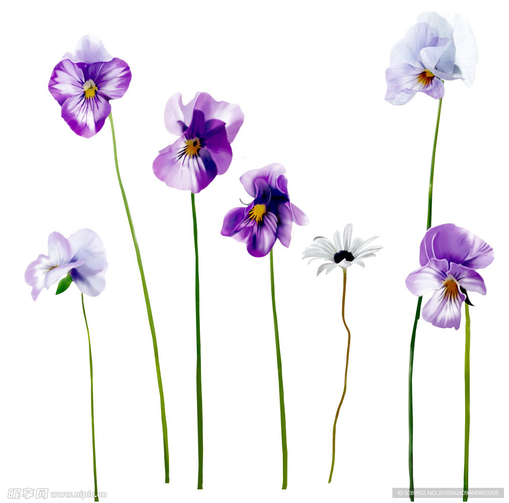 小花