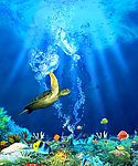 海底世界