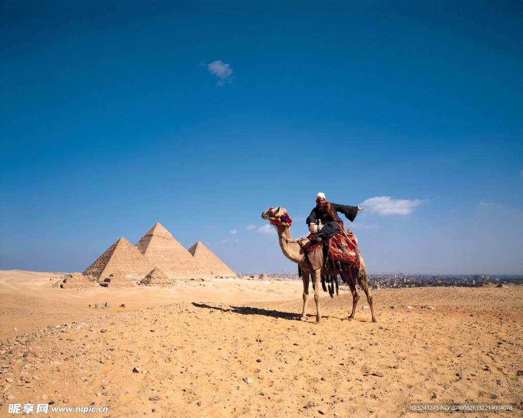 沙漠 骆驼 金字塔 埃及 沙子 蓝天