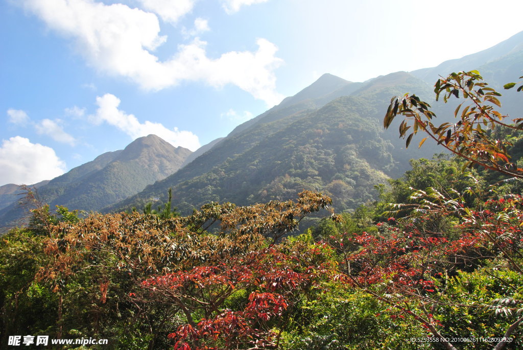 美丽的高州三官山风景