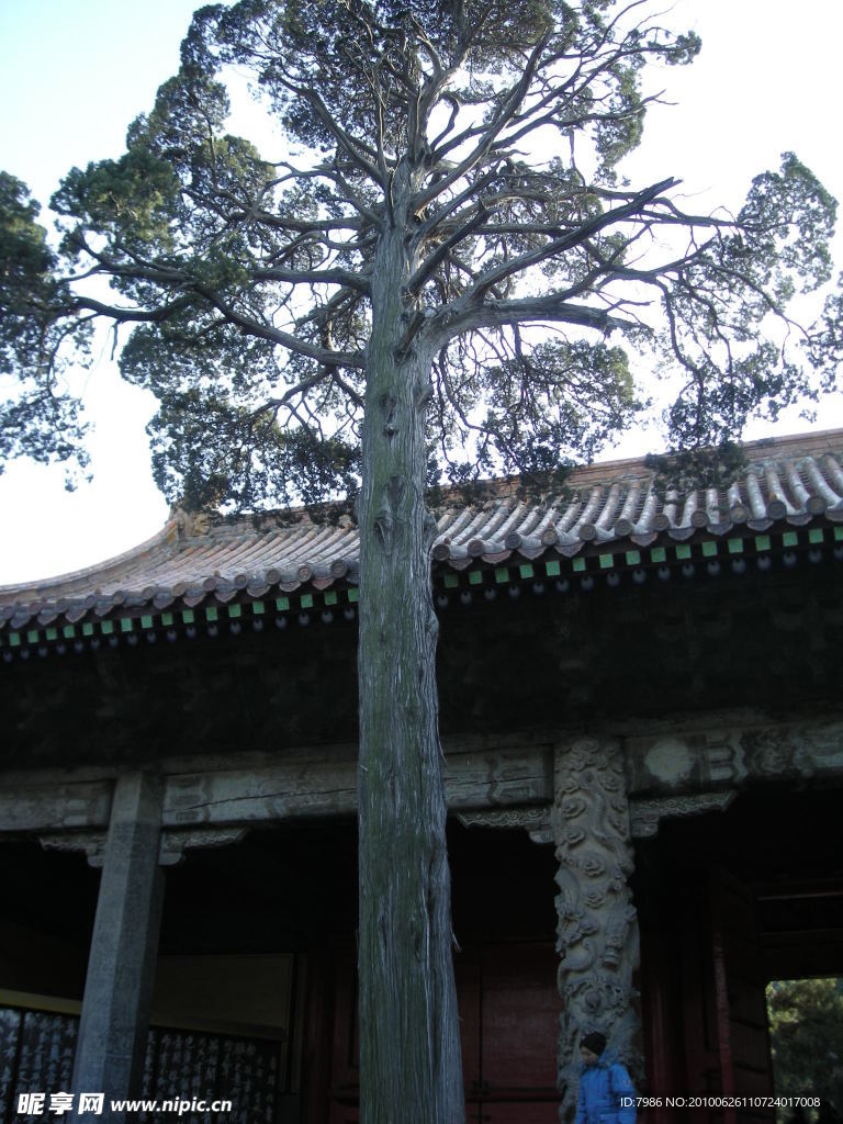 孔林