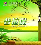 江边大树分层