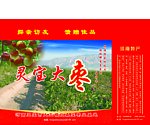 灵宝大枣