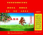 冬枣包装设计箱