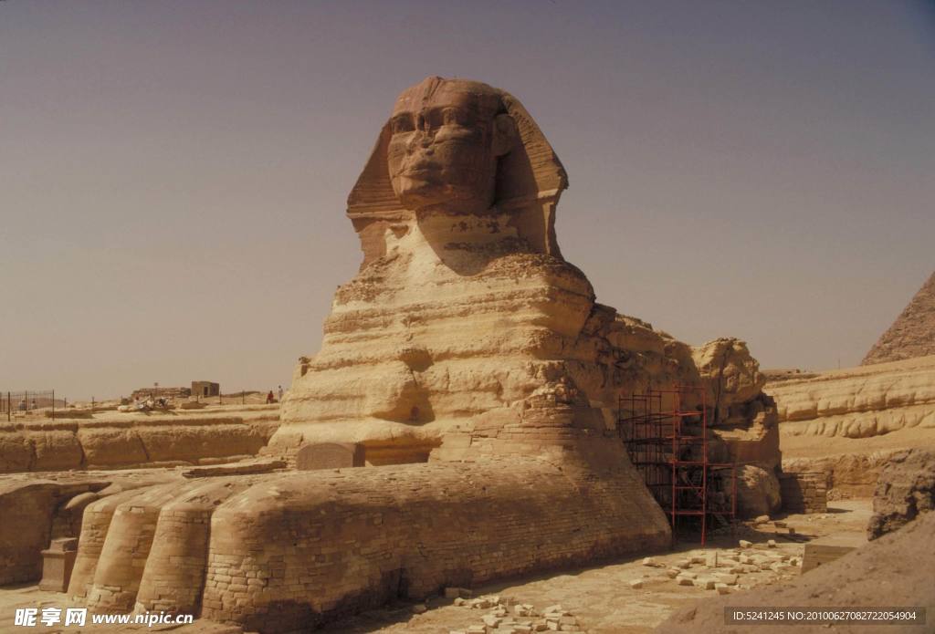 沙漠 金字塔 骆驼 沙子 蓝天 埃及 狮身人面像