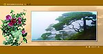 焦作地税文化作品