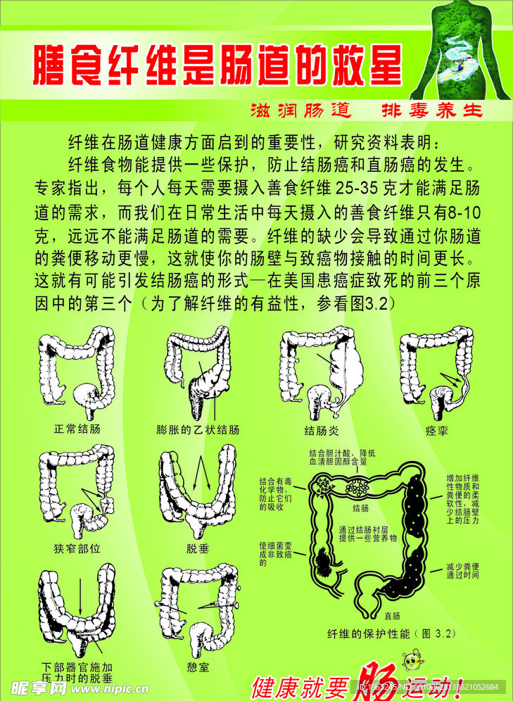 膳食纤维是肠道的救星