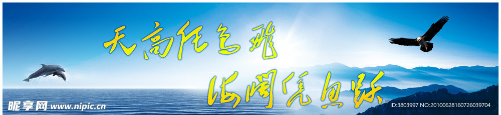 天高任鸟飞 海阔凭鱼跃