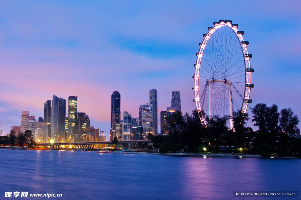 新加坡摩天观景轮夜景