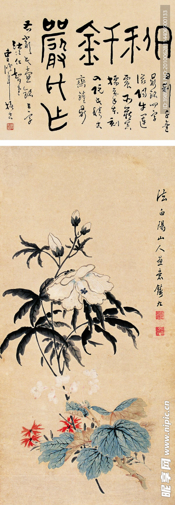 王鼎平 花卉