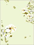 木棉花