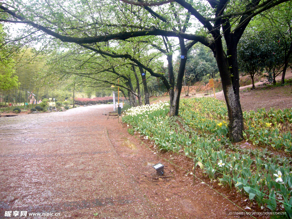 雨后公园