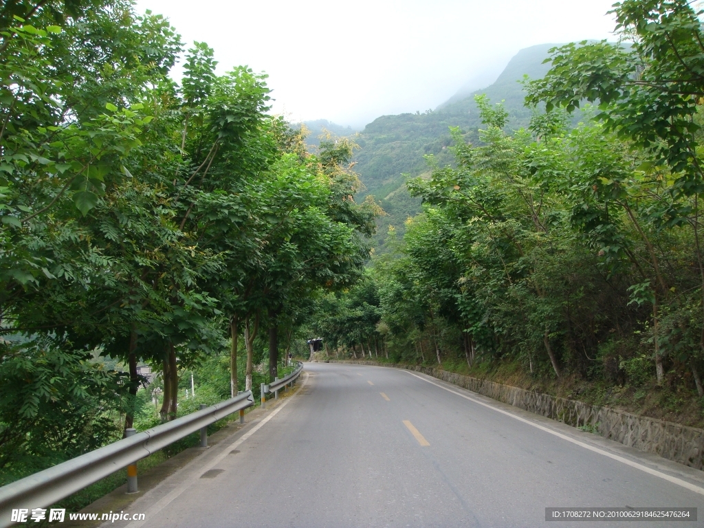 绿荫下的公路