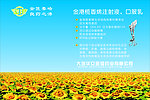 金港药业展会展板