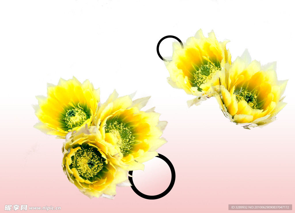 小花