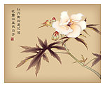 孤芳自赏
