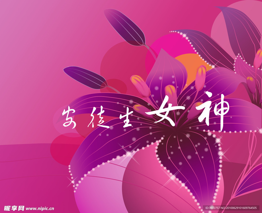 手绘紫荆花