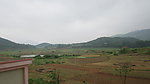 田野