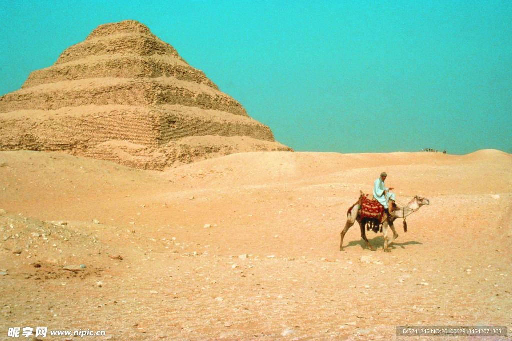 沙漠 金字塔 骆驼 埃及 沙子