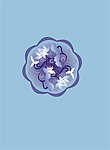 青花