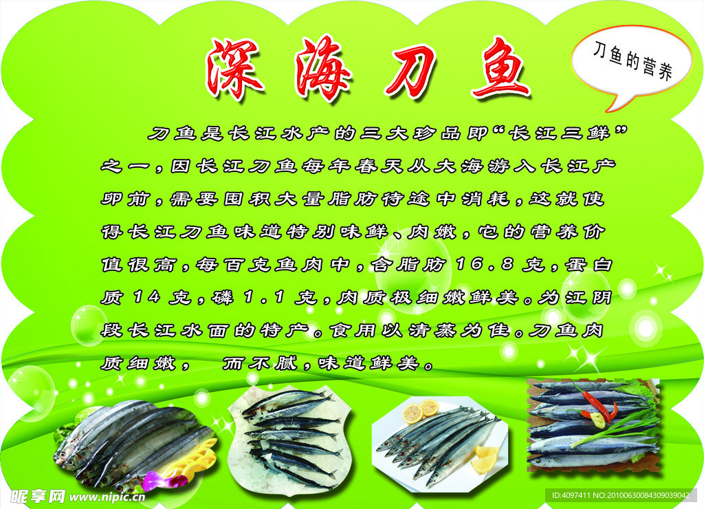 刀鱼