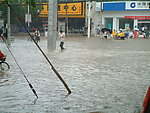田园风光