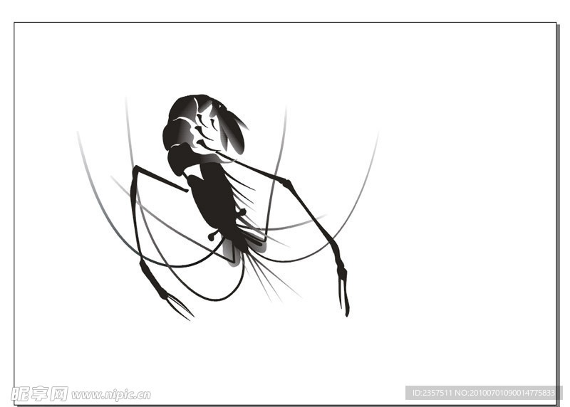 手绘矢量水墨虾