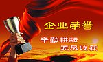 荣誉展版