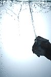 水花