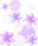 移门 紫色花