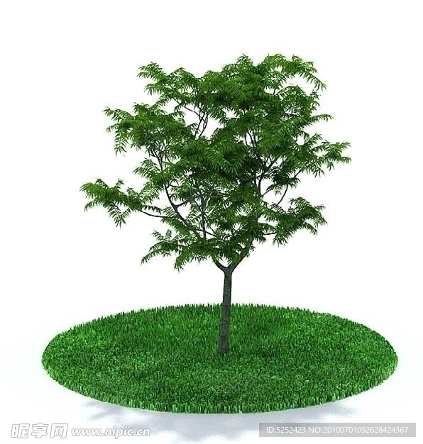 绿色树木3D模型