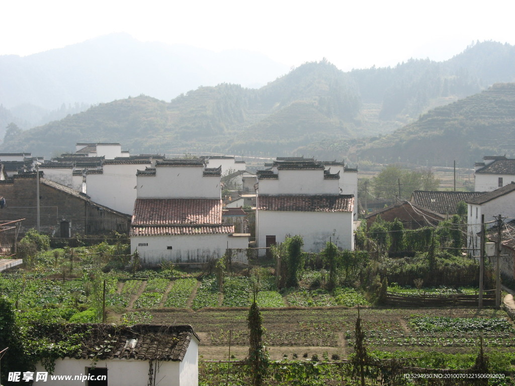 风景