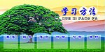 学校展板