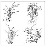 永恒刻绘玻璃兰草