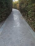 小路