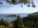 风景 山 大海 树