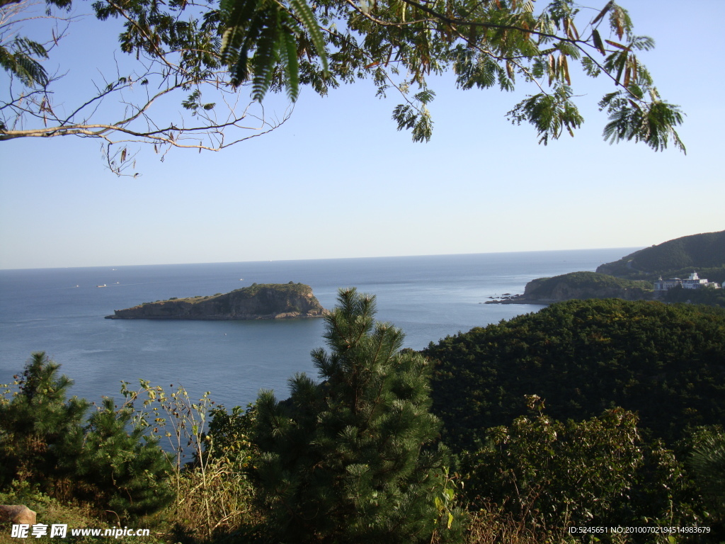 风景 山 大海 树